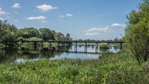 Survey finds River Shannon in Limerick is 'moderately littered'