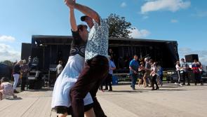 SLIDESHOW: 'Labour of love' Limerick Show attracts record crowds