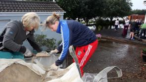 WATCH: Limerick residents urgently react after waking up to severe flooding 