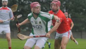 Line-up completed in Limerick senior and intermediate hurling championships