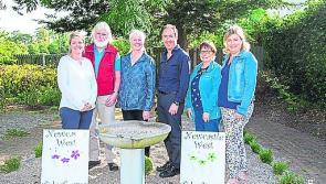 Wildcards for Limerick Going for Gold competition chosen