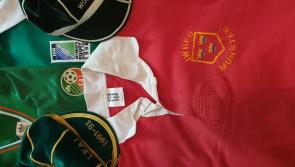 WATCH: Limerick sporting all-rounder featured on unique Rugby World Cup ball