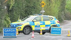 Second victim of horror Limerick crash named