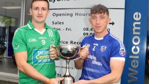 Blackrock and Kildimo-Pallaskenry seek promotion up senior in Limerick Premier IHC final
