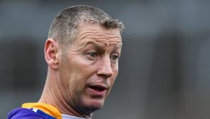 Limerick over 40s Masters panel for 2023 announced