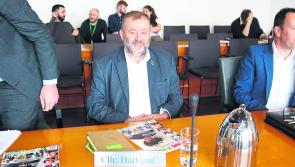 Limerick councillors look to back ‘big ticket’ items with discretionary spending pot