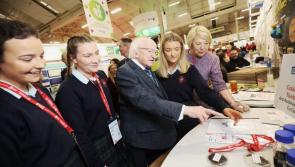 Limerick finalists for the 2020 BT Young Scientist & Technology Exhibition