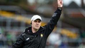 Limerick's Liam Cronin gets new inter-county role after three years as Clare coach