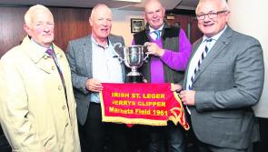 New track record set in Limerick Greyhound Stadium as Irish St Leger begins