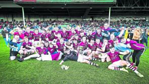 Galtee Gaels carry Limerick flag into Munster club football championship