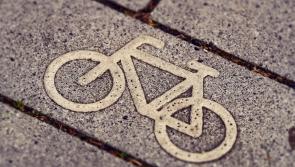 Bye-laws approved for new dockless bike scheme in Limerick 