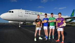 Limerick hurlers confirm 30-man panel to travel to US for New York Classic