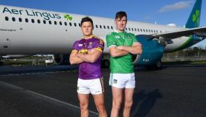 Limerick and Wexford  hurlers play in the home ground of New York Mets baseball side