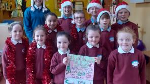 Christmas comes early to County Limerick village with festive fair