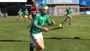 Limerick reach New York Hurling Classic final but suffer defeat to Kilkenny