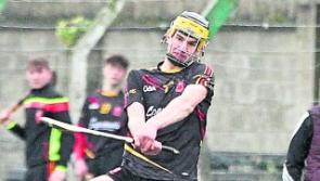 Make-or-break day in Harty Cup for Limerick duo Ardscoil Ris and Hospital