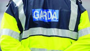 Cannabis jellies seized; man in custody in Limerick