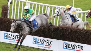 Big double success for Askeaton jockey Aine O'Connor