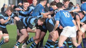 WATCH: Pre-Christmas cheer galore with five Limerick All-Ireland League wins