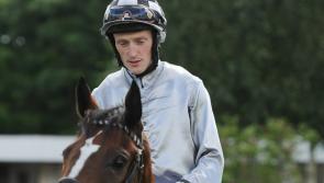 Ride of the Year title for Limerick jockey at  the Horse Racing Ireland Awards 