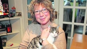 WATCH:  Limerick woman travels thousands of kilometres to rescue cat