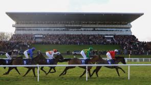 Fashion stakes to be sky high on day three of Limerick Christmas Racing Festival