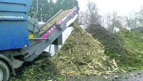 Limerick Council offers help with recycling in festive season