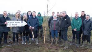 WATCH: Aldi staff lay down roots in Limerick by planting 16,000 trees