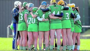Limerick confirm 30-strong panel for Littlewoods Ireland Camogie League
