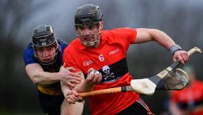 Limerick hurlers bid for Fitzgibbon Cup title success as UCC play IT Carlow