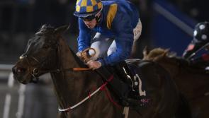 Limerick jockey Billy Lee lands Valentine's Night double at Dundalk