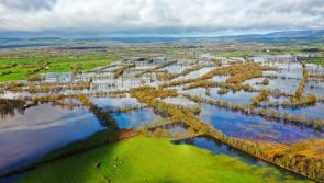 WATCH: ‘We’re totally cut off now’ - County Limerick boat club member on flooding