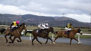Ballingarry trainer is toast of punters at Dundalk