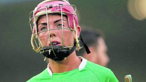 Sarah Carey departure confirmed from Limerick camogie panel
