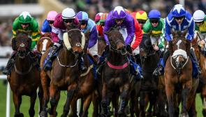 How your bets fared - complete results from Day 3 of the Cheltenham Festival