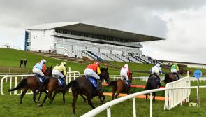 Limerick trainer Eric McNamara says racing behind-closed-doors is  'wonderful idea' in current crisis