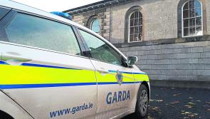 Probation act applied after Limerick man's 'severe' headache led to theft of groceries
