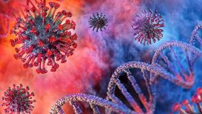 BREAKING: Ten days without a confirmed Covid-19 case in Limerick