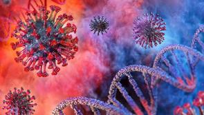 BREAKING: Six new confirmed cases of Covid-19 in Limerick; 66 reported nationally
