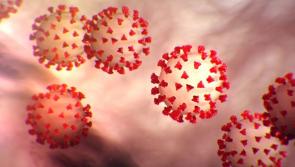 BREAKING: Less than 10 new Covid cases in Limerick; 520 reported nationally