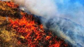  Almost 50% of Irish people worry wildfires caused by climate change will harm local area