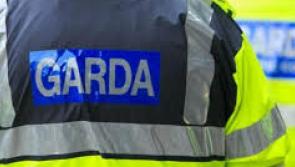 Gardai investigating alleged sexual assault