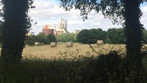 Wanted! Send us your snaps from Limerick’s luscious land
