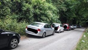 Kildare Gardaí issue fines to a line of cars parked at Donadea Forest 