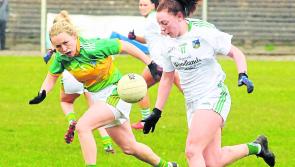 Limerick to take part in 2020 TG4 All-Ireland&nbsp;Junior Ladies&nbsp;Football Championship