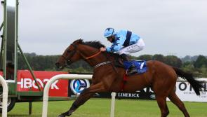 Bumper week of success for Limerick racing enthusiasts