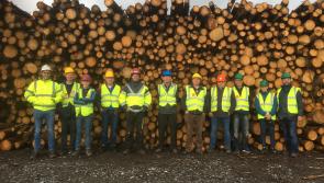 SLIDESHOW:  Forest owners see how their valuable trees are turned into valuable sawn timber products at Laois Sawmills
