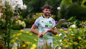 Poc Fada final invite to Cooley Mountains for Limerick All-Ireland SHC winner