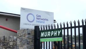 Limerick gardai called to intervene as activist attempts to block entrance to Gas Networks site