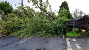 SLIDESHOW: Dramatic photos show damage caused by Storm Ellen as cleanup continues in Limerick